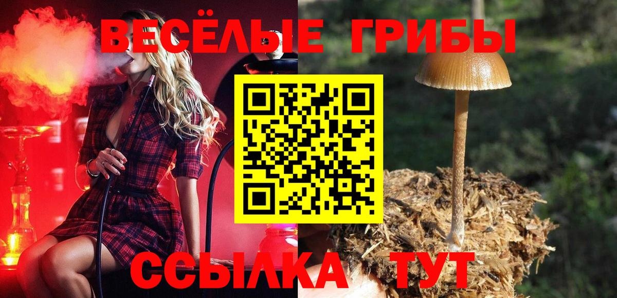 Псилоцибиновые грибы MAGIC MUSHROOMS  Вход с VPN  Новосибирск 
