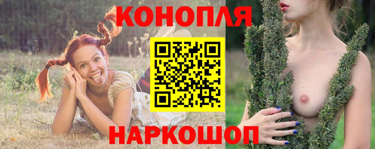 Марихуана ГИДРОПОН  Марихуана сатива  Новосибирск  Вход с VPN 